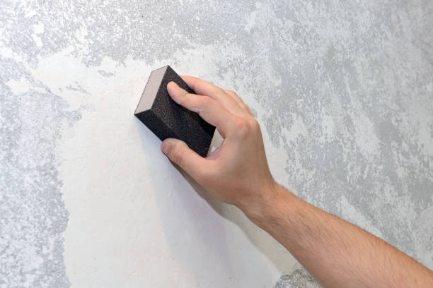 Mold Remediation for Rental Properties in Westminster, CO