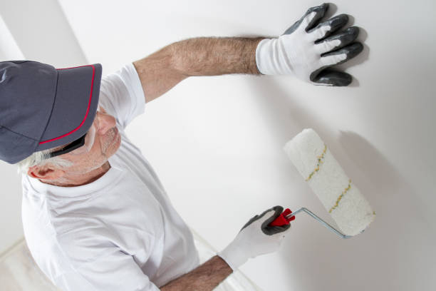 Best Mold Remediation for Healthcare Facilities  in Westminster, CO