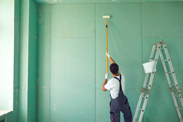 Best Water Damage & Mold Remediation  in Westminster, CO