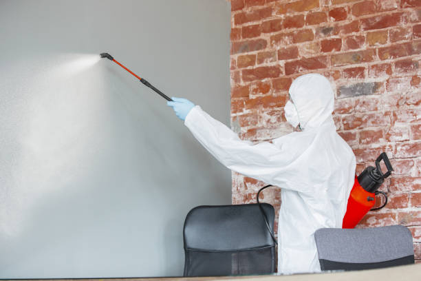 Best Real Estate Mold Inspection  in Westminster, CO