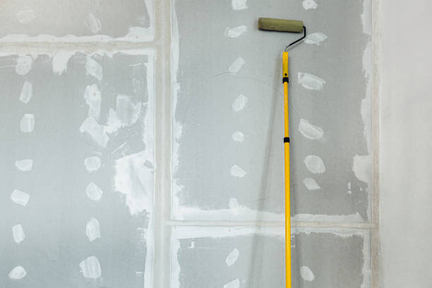 Best Industrial Mold Remediation  in Westminster, CO