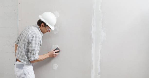 Best Black Mold Removal  in Westminster, CO