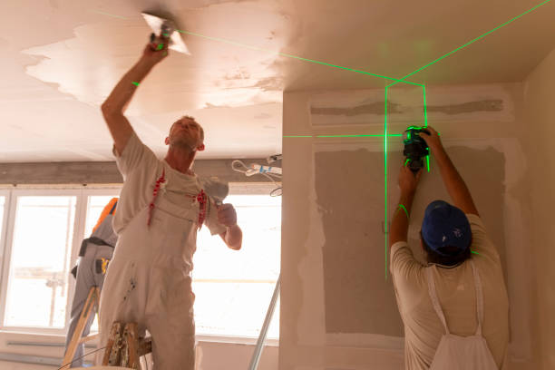 Best Mold Damage Restoration  in Westminster, CO