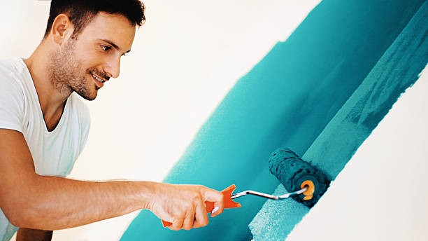 Best Commercial Mold Inspection  in Westminster, CO