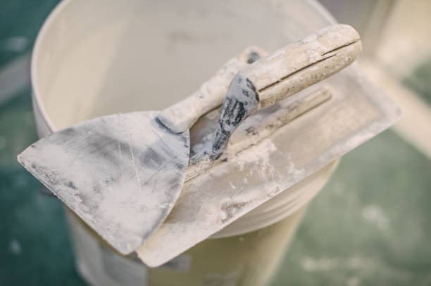 Best Industrial Mold Remediation  in Westminster, CO