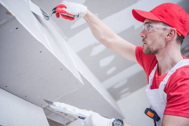 Professional Mold Removal in Westminster, CO
